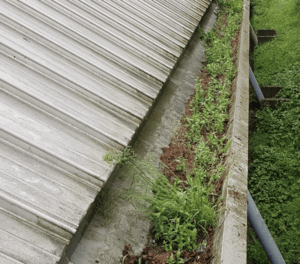 Happy customers in Prestwood who trust The Roof Moss Cleaners for gutter cleaning services